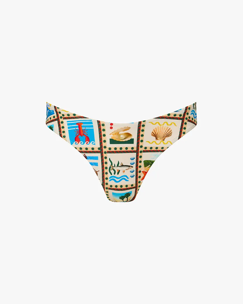 Classic Scoop Bottom